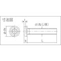 【CAINZ-DASH】トラスコ中山 ６ロブボタンボルト　ステンレス　Ｍ５×２５　１０本入 B106-0525【別送品】