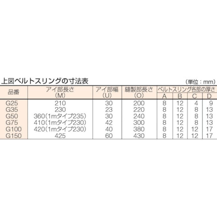 【CAINZ-DASH】トラスコ中山 ベルトスリング　ＪＩＳ３等級　両端アイ形　７５ｍｍＸ３．０ｍ G75-30【別送品】