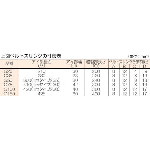 CAINZ-DASH】トラスコ中山 ベルトスリング ＪＩＳ３等級 両端アイ形