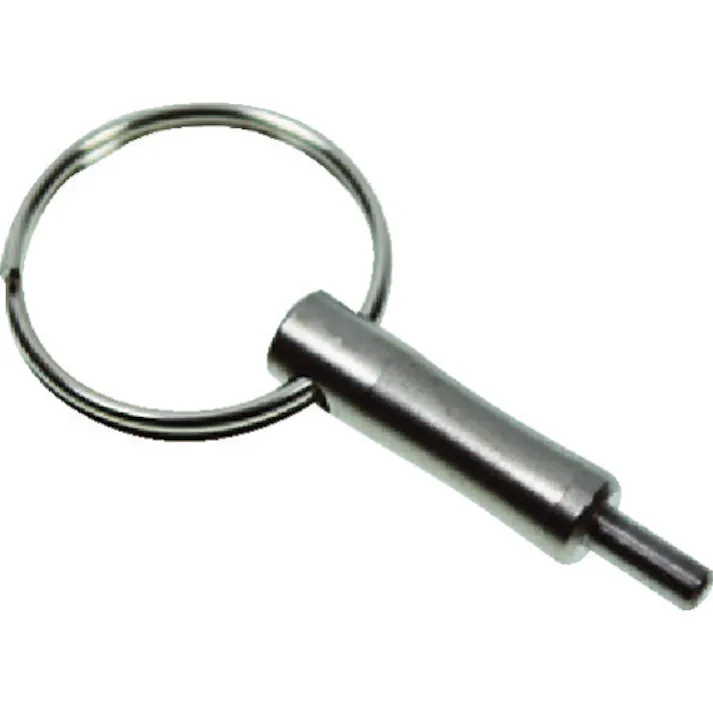 【CAINZ-DASH】トラスコ中山 セキュリティサインナット用鍵 1個入 SN-AA400【別送品】