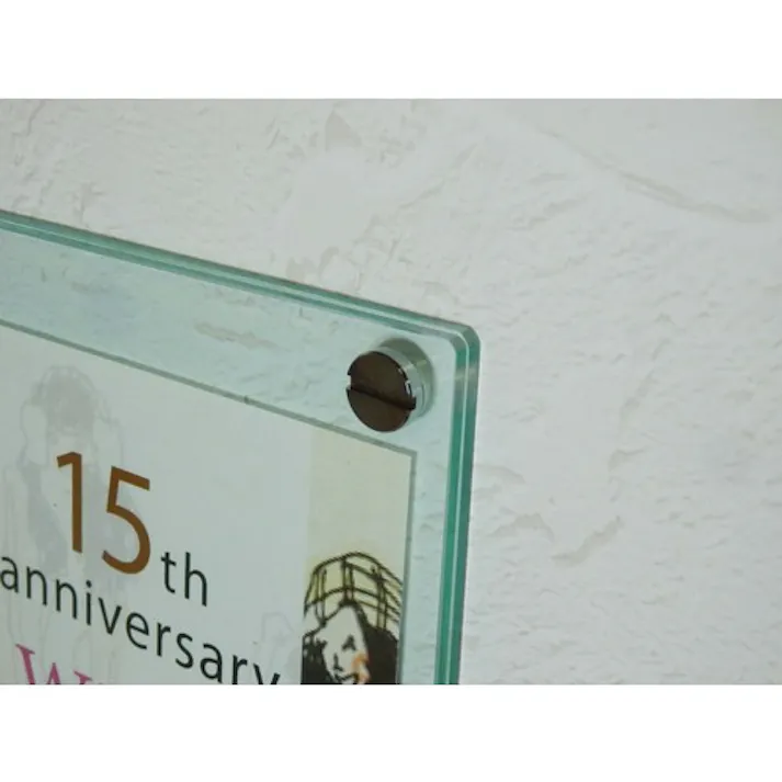 【CAINZ-DASH】トラスコ中山 装飾平小ねじ 低頭すり割りコイン M6 Φ12 L25 1個入 DS-AB252【別送品】