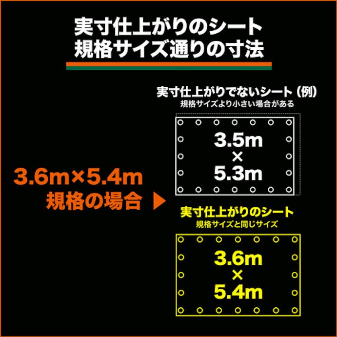 【CAINZ-DASH】トラスコ中山 ５年シート　幅１０．０ｍＸ長さ１０．０ｍ　シルバー TP5-1010SV【別送品】