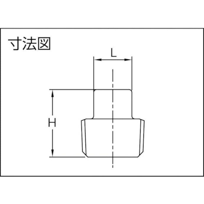 【CAINZ-DASH】トラスコ中山 ねじ込み管継手　ＳＵＳ　四角プラグ　６Ａ TP-6A【別送品】