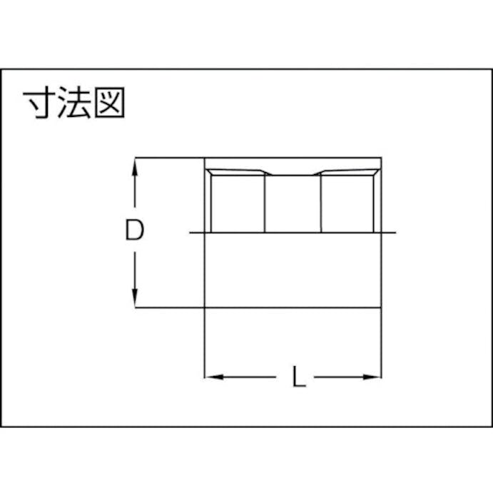 【CAINZ-DASH】トラスコ中山 ねじ込み管継手　ＳＵＳ　ニップル　２０Ａ TNN-20A【別送品】