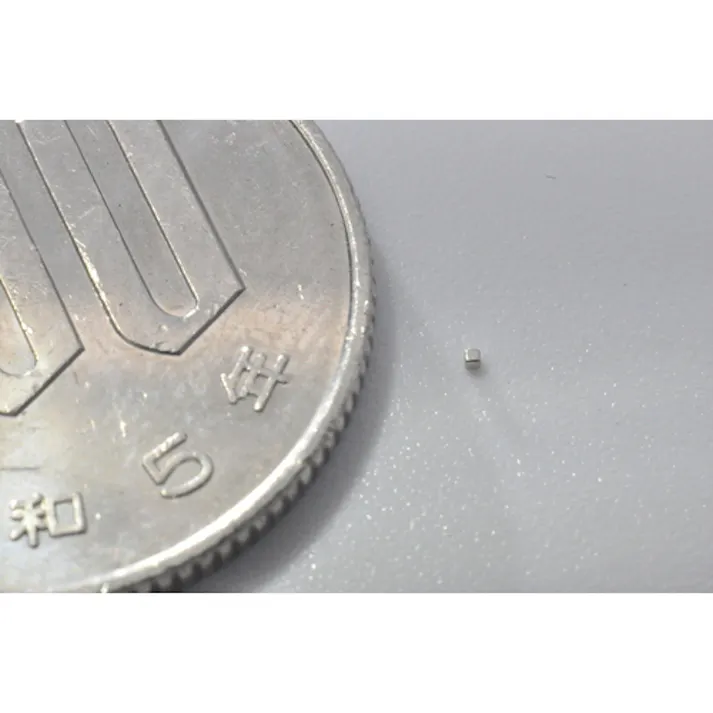 【CAINZ-DASH】トラスコ中山 ネオジム磁石 角形 0.5mmX0.5mmX0.5mm 1個入 TN05-05K-1P【別送品】