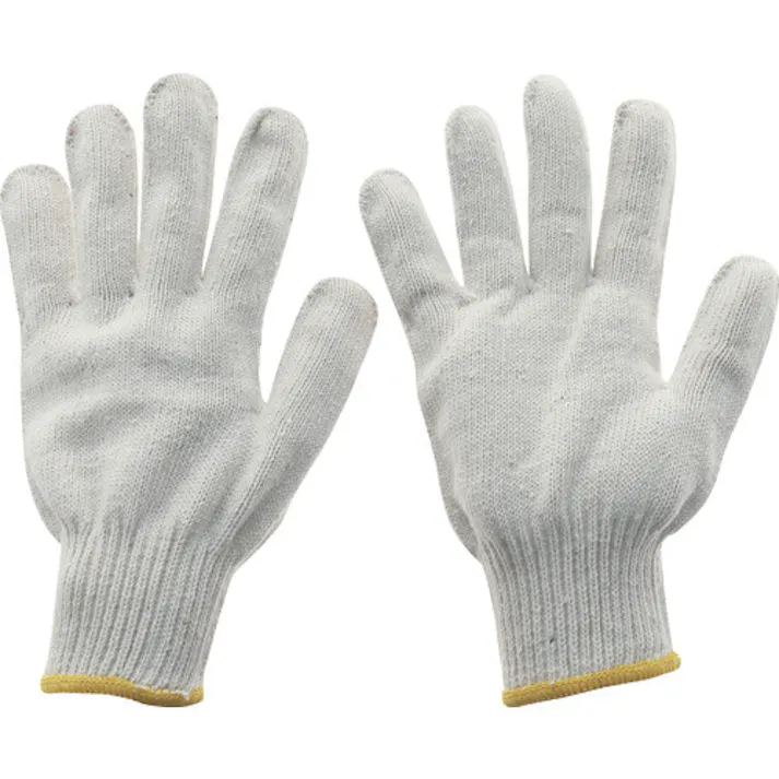 【CAINZ-DASH】トラスコ中山 混紡軍手 10ゲージ 10双組 フリーサイズ IG600-10【別送品】