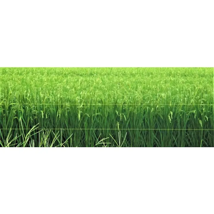 【CAINZ-DASH】トラスコ中山 防鳥用光る糸 イエロー 線径0.44mmx500m BP500Y【別送品】