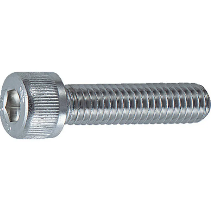 【CAINZ-DASH】トラスコ中山 六角穴付ボルト ステンレス 全ネジ M2×4 22本入 /キャップボルト(CAP) B44-0204【別送品】