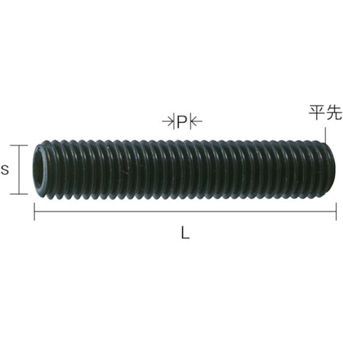 【CAINZ-DASH】トラスコ中山 六角穴付止めねじ　平先　黒染め　Ｍ１４×２０　８本入 B63-1420【別送品】