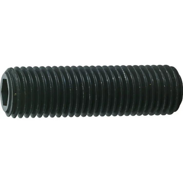 【CAINZ-DASH】トラスコ中山 六角穴付止めねじ 平先 黒染め M16×65 2本入 B63-1665【別送品】
