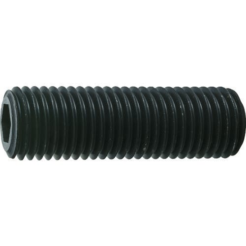 トラスコ中山 六角穴付止めねじ 平先 黒染め M20×35 2本入 B63-2035 六角穴付止めねじ トラスコ中山 六角穴付止めねじ 平先 黒染め M20×35 2本入 B63-2035 六角穴付止めねじ