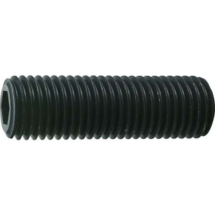 【CAINZ-DASH】トラスコ中山 六角穴付止めねじ 平先 黒染め M20×40 2本入 B63-2040【別送品】