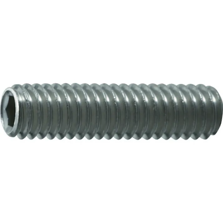 【CAINZ-DASH】トラスコ中山 六角穴付止めねじ 平先 ステンレス M4×4 55本入 B77-0404【別送品】