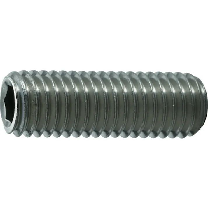 【CAINZ-DASH】トラスコ中山 六角穴付止めねじ 平先 ステンレス M10×30 5本入 B77-1030【別送品】