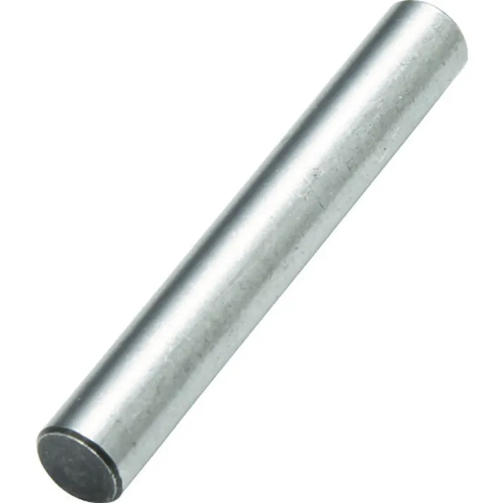 【CAINZ-DASH】トラスコ中山 強力ドレッサーホルダ DH-265用ピン 10本入 DH-265P【別送品】