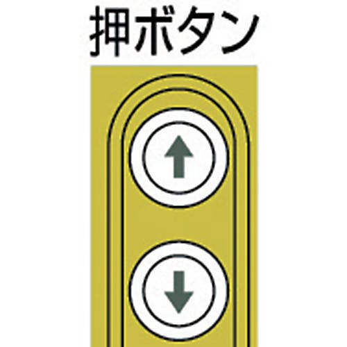 CAINZ-DASH】スリーエッチ 電気ホイスト 100kg 揚程10m