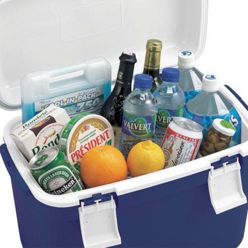 CAINZ-DASH】JEJアステージ フォレスクルー＃25 Dブルー FRC-25