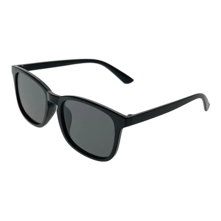 冒険王 プラスチック偏光サングラス