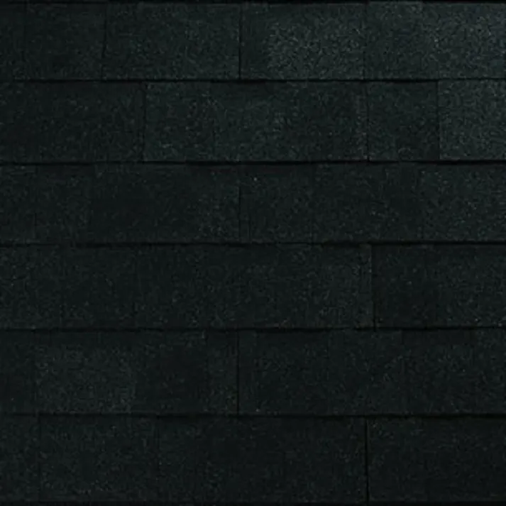 オークリッジプロ30 オニキスブラック