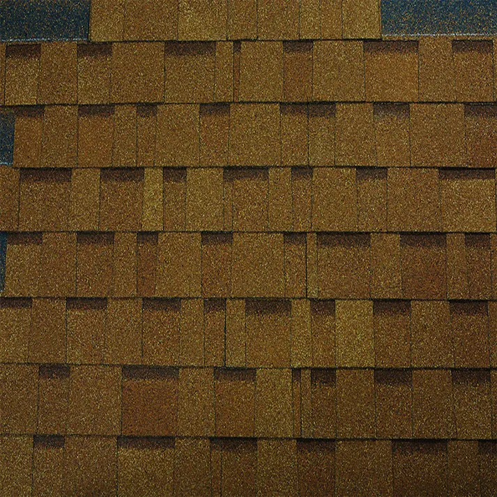 オークリッジプロ棟 デザートタン