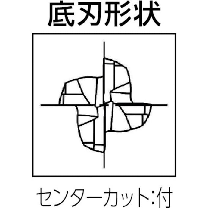 【CAINZ-DASH】大見工業 超硬ラフィングエンドミル（ファインピッチ）刃数４　刃径６ｍｍ OERPR-0060【別送品】