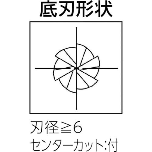 CAINZ-DASH】大見工業 高硬度鋼加工用エンドミル 刃数６ 刃径１０ｍｍ