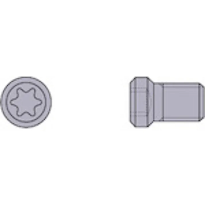 【CAINZ-DASH】三菱マテリアル 切削工具用部品 クランプねじ CS300790TS【別送品】