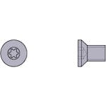三菱マテリアル 正面フライスカッタ用部品 シート止めねじ STS1 フライス工具用部品 三菱マテリアル 正面フライスカッタ用部品 シート止めねじ STS1 フライス工具用部品
