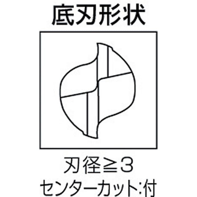 【CAINZ-DASH】三菱マテリアル ２枚刃汎用　ハイススクエアエンドミルロング刃長（Ｌ）６ｍｍ 2LSD0600【別送品】