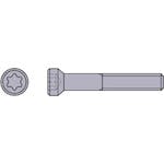 【CAINZ-DASH】三菱マテリアル ＴＡＷ形用部品　クランプねじ WS254015T【別送品】