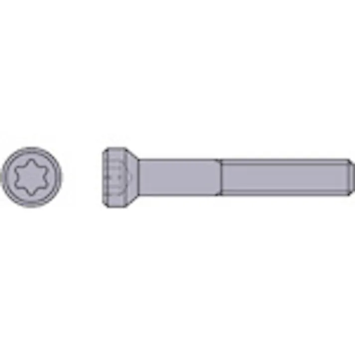 【CAINZ-DASH】三菱マテリアル TAW形用部品 クランプねじ WS254015T【別送品】