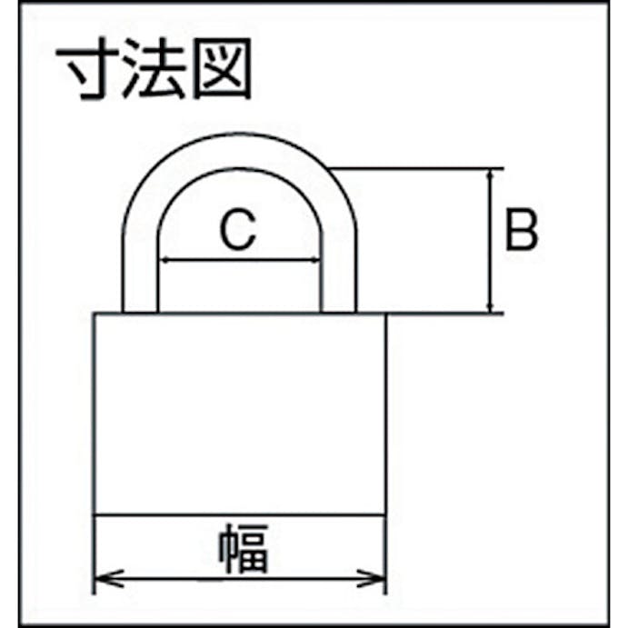 【CAINZ-DASH】清水 シリンダー錠同一Ｎｏ．無２０ｍｍ 2500SD-20【別送品】