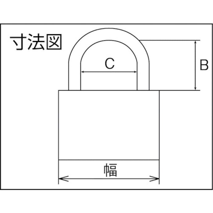 【CAINZ-DASH】清水 ステンロック同一Ｎｏ．無５０ｍｍ 2500SSD50【別送品】