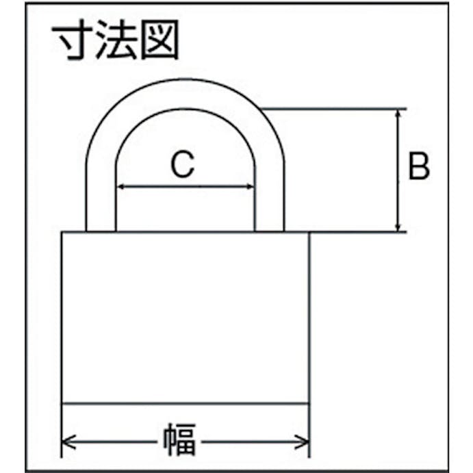 【CAINZ-DASH】清水 オールステンロック３０ｍｍ 3500BP30【別送品】