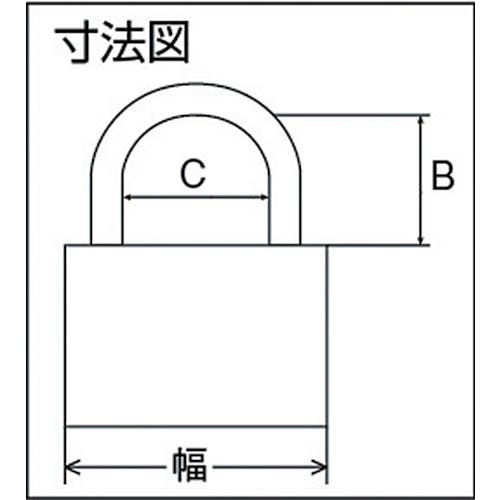 CAINZ-DASH】清水 オールステンロック５０ｍｍ 3500BP50【別送品