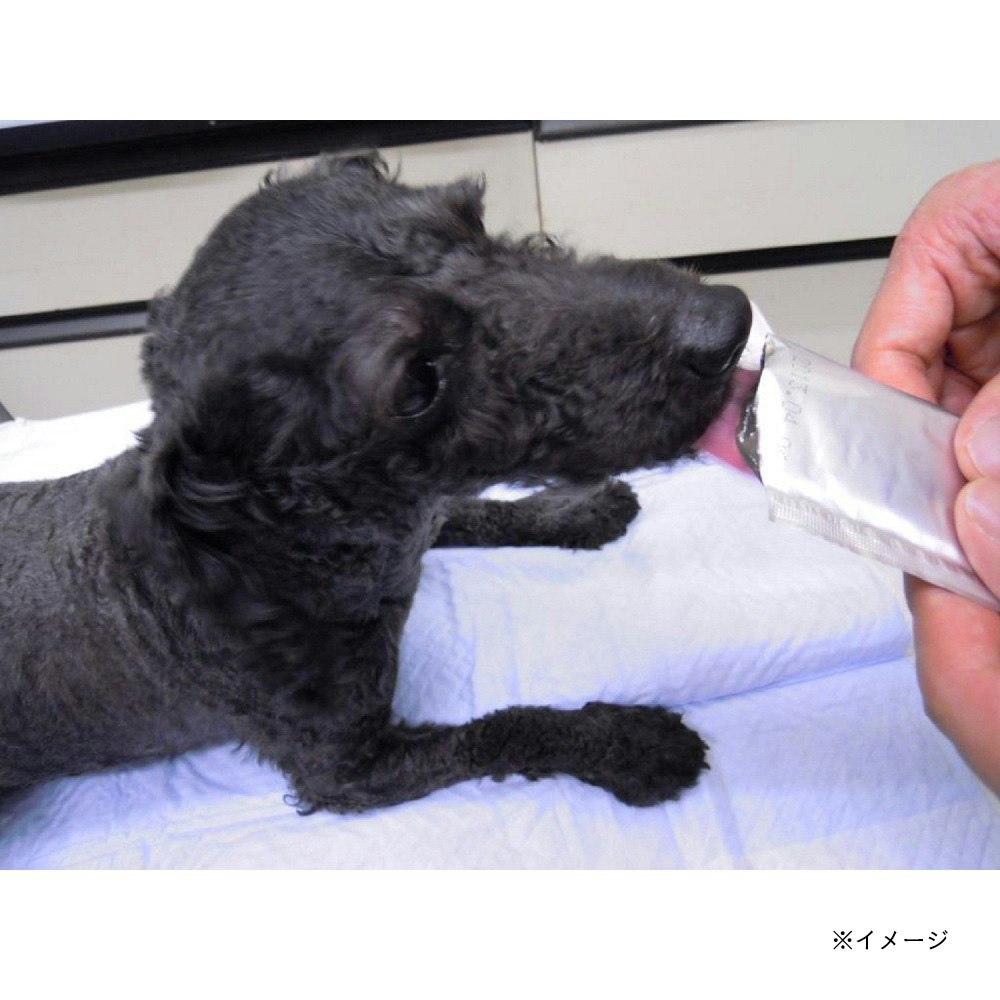 ペットスエットゼリー愛犬用 クランベリープラス7本｜ホームセンター通販【カインズ】