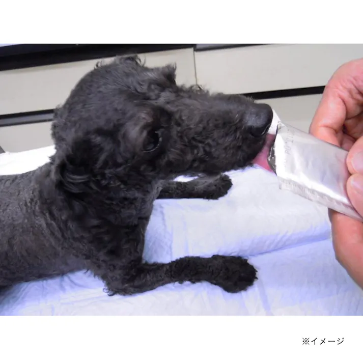ペットスエットゼリー 愛犬用 クランベリープラス 7本