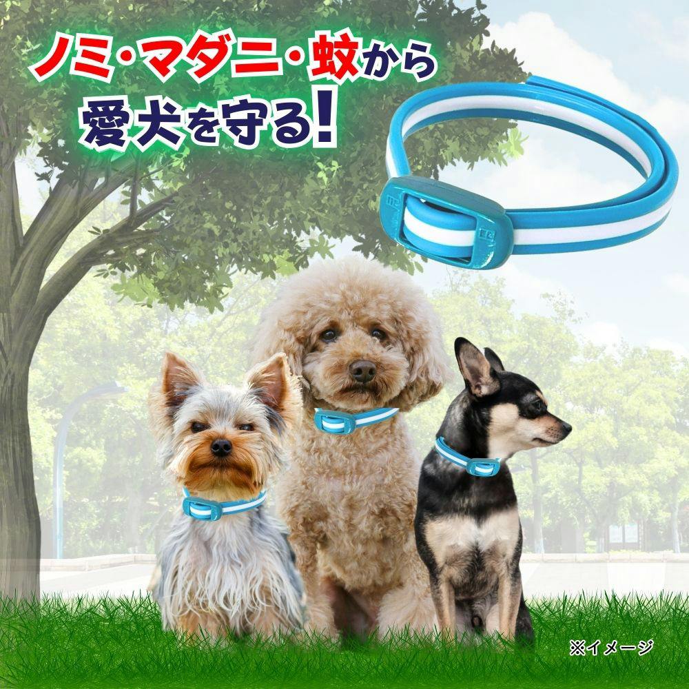 薬用ノミマダニとり蚊よけ首輪 小型犬用 1本 | ペット用品（犬） 通販