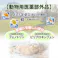 アース 薬用ノミ・マダニとり&蚊よけ 首輪 猫用 ピンク