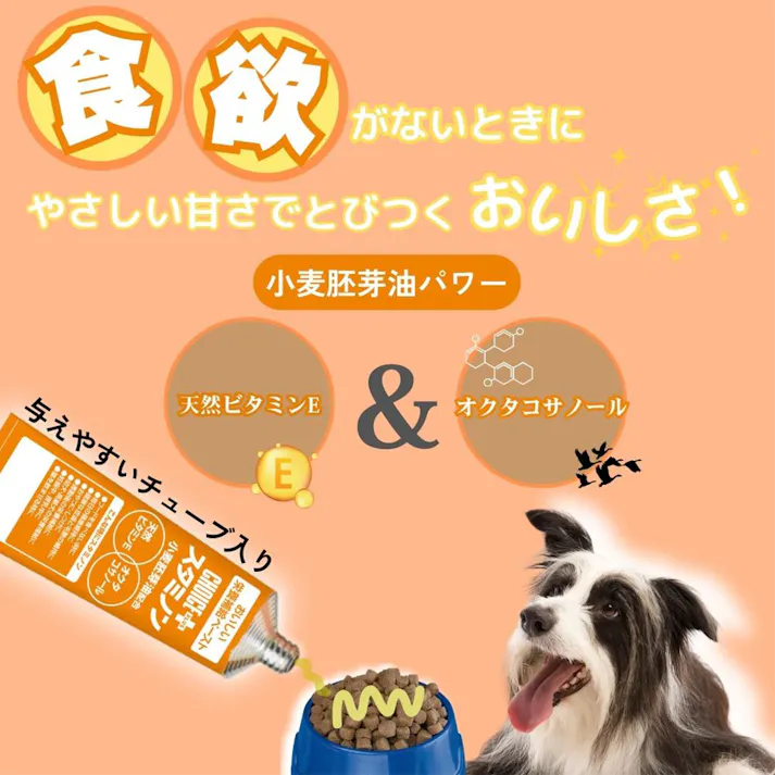 チョイスプラススタミノン食欲がないときに40g
