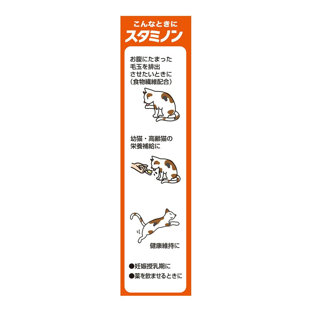 チョイスプラス猫スタミノン毛玉ケア 30g | ペット用品（犬