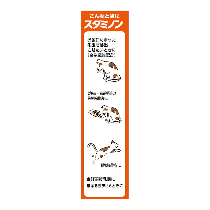 チョイスプラス猫スタミノン毛玉ケア 30g