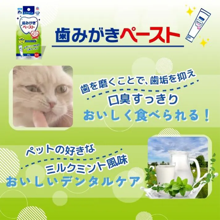 エブリデント 歯みがきペースト 40g