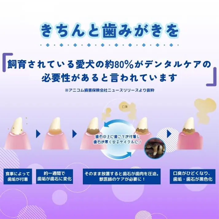 エブリデント 歯みがきペースト 40g