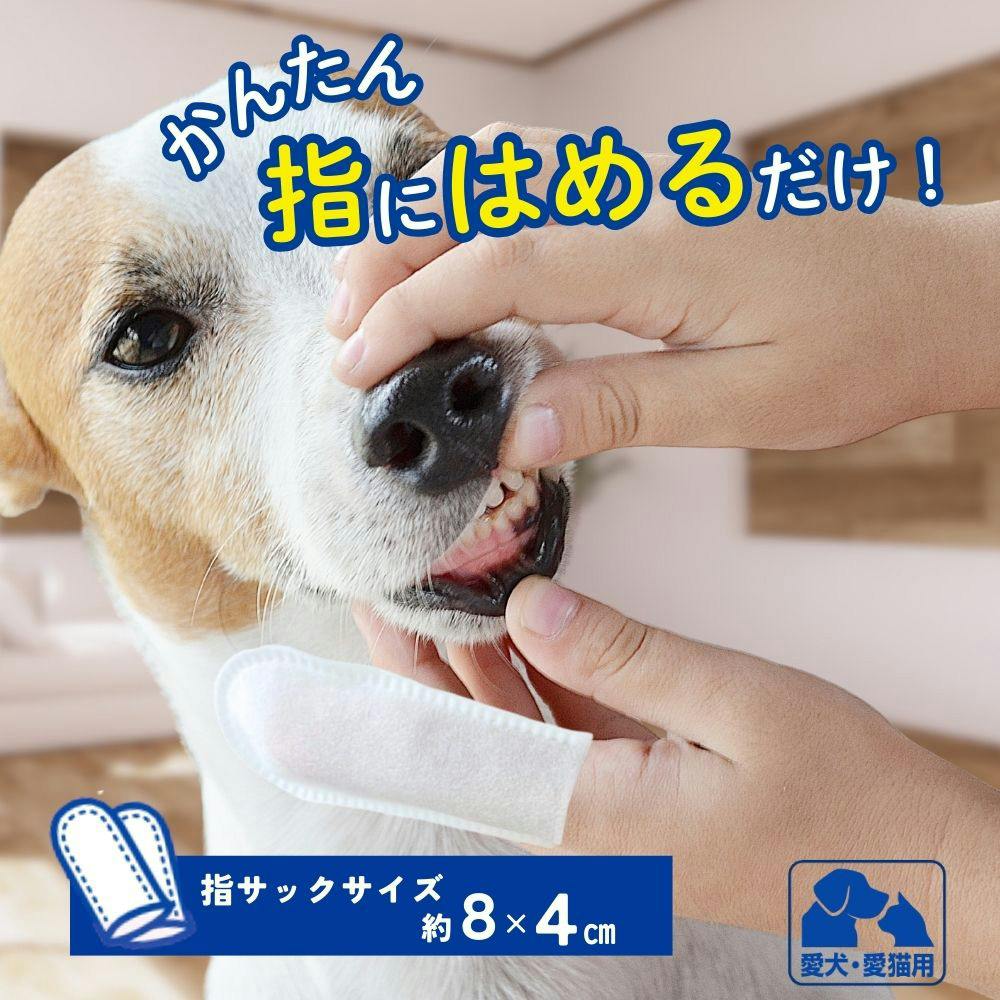 エブリデント 指サックde歯みがき 35枚 | ペット用品（犬） 通販
