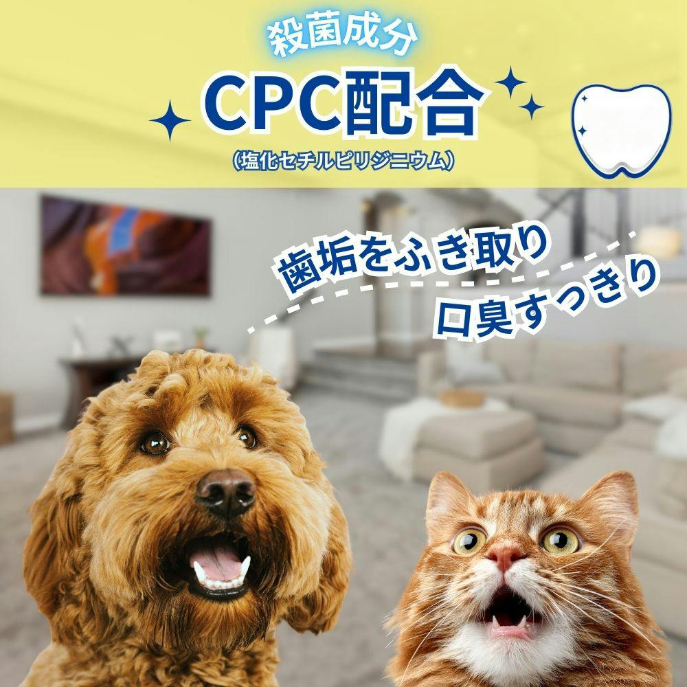エブリデント 指サックde歯みがき 35枚 | ペット用品（犬） 通販