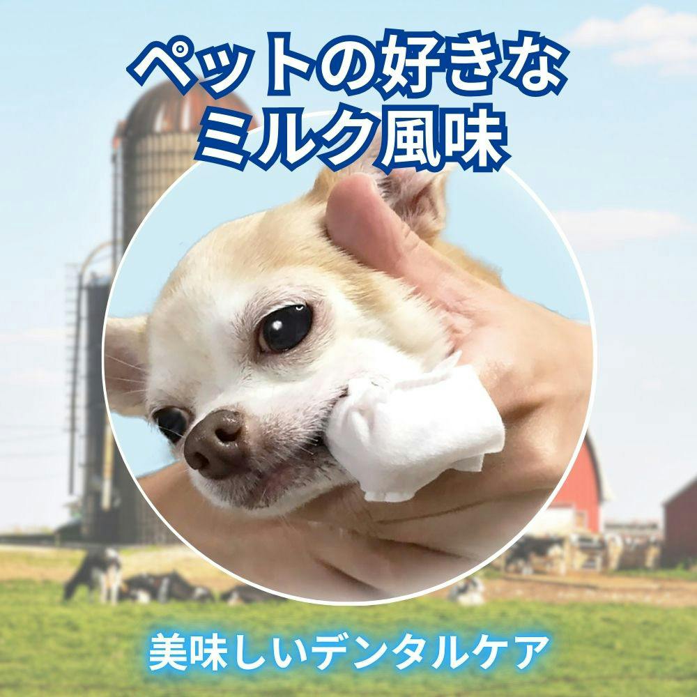 ブランシュ様♥️ダックス 虫歯予防デー オブジェ エブリデント 指サックde歯みがき 35枚 | ペット用品（犬） 通販