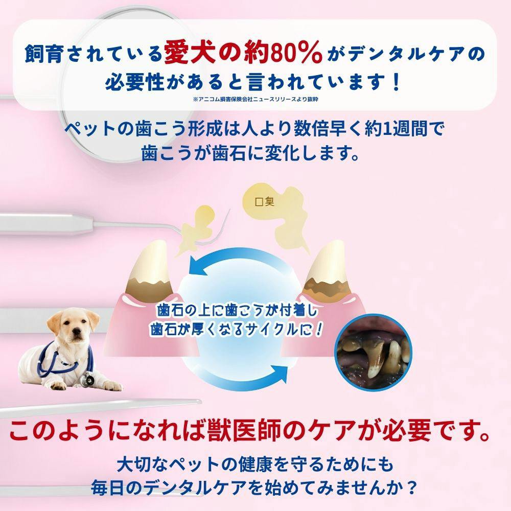 エブリデント 指サックde歯みがき 35枚 | ペット用品（犬） 通販