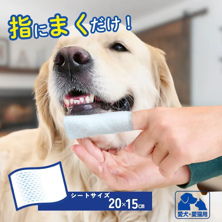 エブリデント シートde歯みがき 35枚