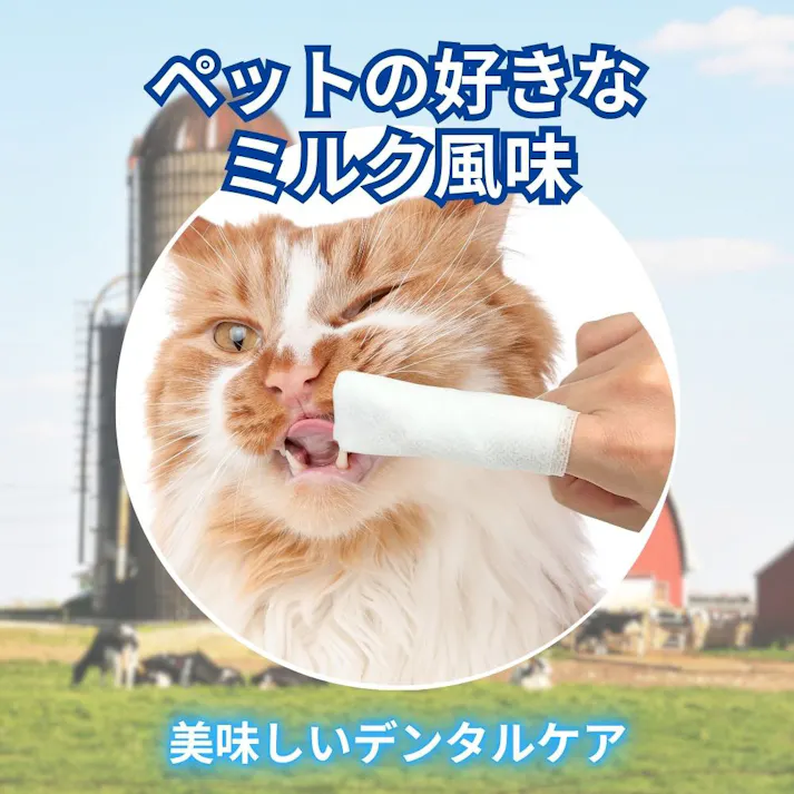エブリデント シートde歯みがき 35枚